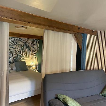 La Palme Bleue - 5 Mn Du Zooparc De Beauval Apartment Сен-Анян Екстериор снимка