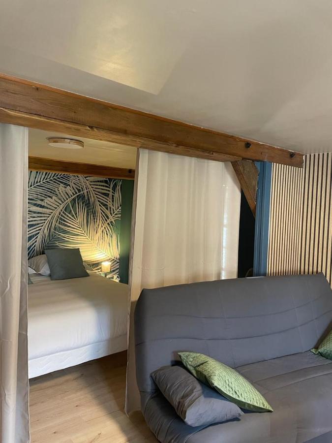 La Palme Bleue - 5 Mn Du Zooparc De Beauval Apartment Сен-Анян Екстериор снимка