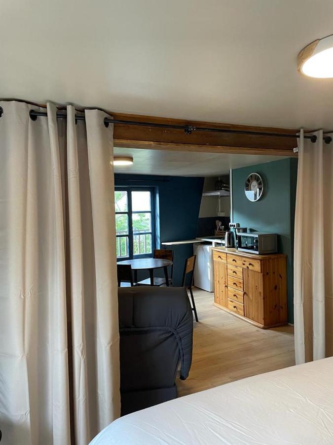 La Palme Bleue - 5 Mn Du Zooparc De Beauval Apartment Сен-Анян Екстериор снимка